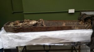 Image of the mummy and sarcophagus found in Marsh's Library in the 19th century