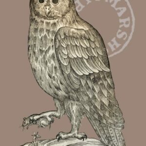 Aldrovandi owl magnet design