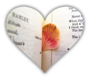 A petal found in a book
